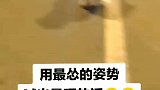 平时不烧香，临时抱佛脚，像极了躲在蓝湛后面的魏婴！