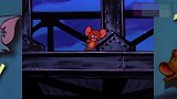 猫和老鼠：杰瑞帮汤姆走出创伤，两人变得更加友好，还是友情好