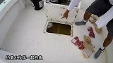 外国小伙用一整只鸡钓鱼，场面瞬间失控，镜头记录全过程！