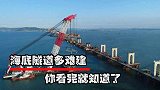 在海底挖隧道有多难？看完全过程，太让人佩服港珠澳大桥的建设了
