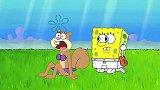海绵宝宝回家拿相机，珊迪继续挑战记录