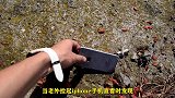 菠萝能保护手机吗？老外从150米高空扔下，结果太意外了！