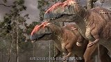 这生物的血缘和恐龙极似，曾一度称霸水域，无奈如今却步入濒危