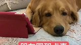 原来这才是发朋友圈真正目的阿！