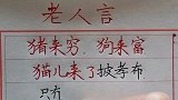 每天读一读老人言