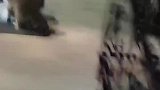 浣熊每天都来偷吃外卖，男子也没有办法