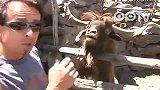 一山羊被一男子烦的不行 最后竟开口说“呸，滚”