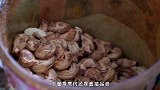 都知道腰果好吃，但是有谁知道，剥腰果的工作竟然如此“残忍”！