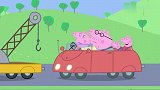 小猪佩奇：猪爸爸看地图，真的可以吗，他可是个路痴呀