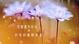 一曲情歌《究竟是为什么》经历过什么，才能有这种刻骨铭心的痛