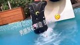男朋友就在我身边，居然让陌生男人碰美女，一切都随他去吧