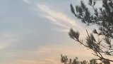 看日出发现了个神人，网友：他是怎么爬上去的？