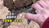 子水库中找到两年前丢的无人机。什么都坏了，内存卡还能用