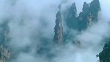 看看是不是雨后的风景更美