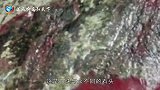 男子砍柴发现一块“猩红大石”就像血块，专家鉴定后高兴坏了