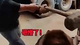 一个敢扶一个敢砸，结局万万没想到