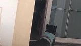 小狗能有什么坏心思呢？