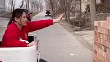 婆婆刚拿了驾照，儿媳妇在一旁每天都操心