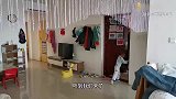 家里来客人了，月月做了蛋糕来招待 阿姨说比买的味还正