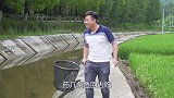 四川方言：两个灾舅子偷猎，阴差阳错成冤家，也是醉了！