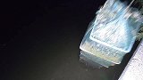 河道里泥鳅太多了，龚喜夜间下地笼，三小时收了大半桶