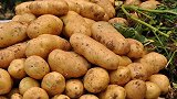一斤土豆进价1.3元卖6元！北京一商户哄抬菜价将被罚10万