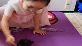 5岁女儿养的小乌龟，真是太听话了，眼前一幕，小情人好萌啊！