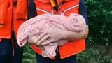 河南南阳：突发山洪，消防员与时间赛跑救出未满月婴儿