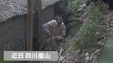 接亲路上猪脚掉进沟里