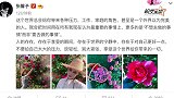 精致！张馨予敷着面膜剪花做“采花妹妹”