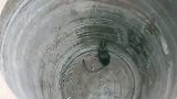 狸花猫发现水瓮里有大耗子，跳下去过招