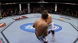 UFC-14年-终极斗士拉美赛：选手弗格森眼中的拉美文化月-专题