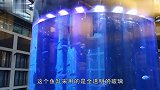 世界上最大的鱼缸，内置升降梯这要是碎了可怎么办