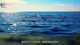 “深海巨妖”现东南亚海滩，与鲸鱼是天敌，体长20米成渔民噩梦