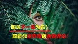 眼见不一定为实，颠覆你世界观的色盲悖论！你真的不是色盲吗？
