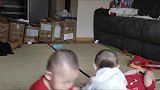 龙凤三胞胎妹妹合伙欺负哥哥，没想到哥哥这次直接变强势了
