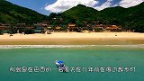 老人多年前救下一只小企鹅，放生后，企鹅每年都会给他带来惊喜