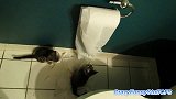 爆笑集锦：猫咪和狗狗们大战厕纸