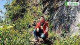 真的是天路！陡峭险峻的大山半腰，硬生生开凿出一条出山通道