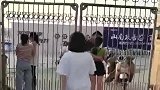 真搞不懂他们是怎么想的，又不是出不去，为什么非要搁着铁门拥抱