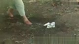 惨烈的教训：路边的美元千万别捡