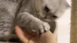 我就去看了看我之前捡的一只猫过得好不好，回来就被收拾了