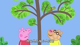 小猪佩奇：佩奇树上发现一只乌龟，佩德罗将它摇下来，砸到了鼻子