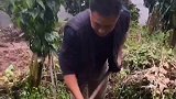 四川搞笑喜剧；农村套路多 一代降一代