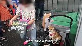 3只柴犬火遍韩国，主人为它们举办粉丝见面会，现场太火爆了