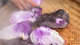 山里的紫色红薯