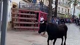 西班牙的街头斗牛，人们躲在笼子里挑逗公牛