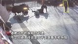 女子城市里走路被牦牛发狂掀翻，整个人被扔起来全身多处淤青，品牌总部回应