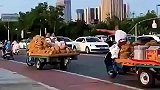 往河里扔榴莲，一个比一个牛