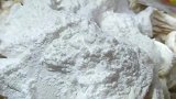 蘑菇这样做给肉都不换